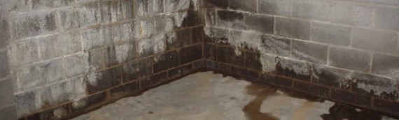 What You Should Know About Basement Moisture Control