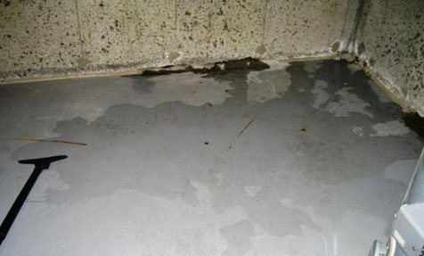 Basement Seepage