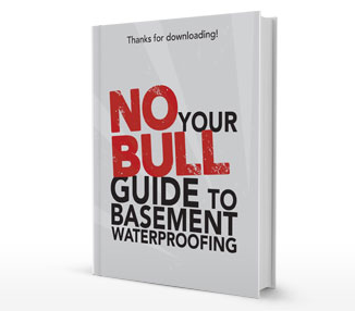 Basement Waterproofing E-Book